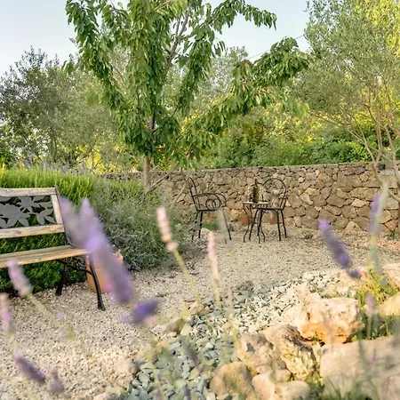 New With Swimming Pool, Olive Grove And Sea View By Traveler Tourist Agency Krk Id 2201 *