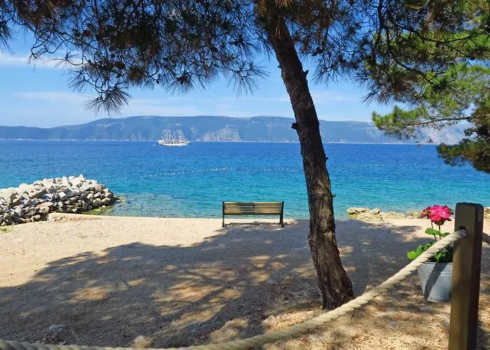 New With Swimming Pool, Olive Grove And Sea View By Traveler Tourist Agency Krk Id 2201 * Brzac