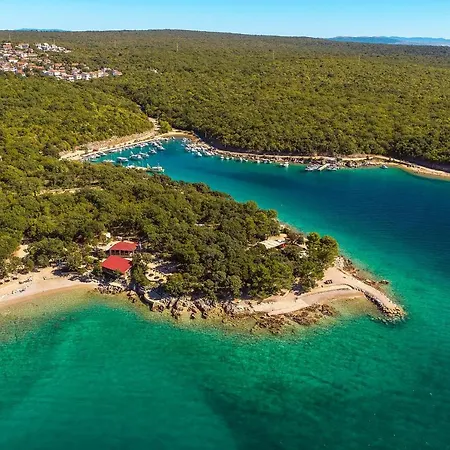 Вилла New With Swimming Pool, Olive Grove And Sea View By Traveler Tourist Agency Krk Id 2201 *
