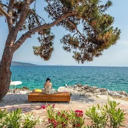 Вилла New With Swimming Pool, Olive Grove And Sea View By Traveler Tourist Agency Krk Id 2201