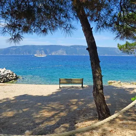 New With Swimming Pool, Olive Grove And Sea View By Traveler Tourist Agency Krk Id 2201 * Brzac