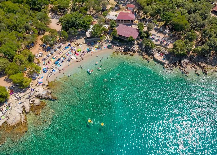 Villa New With Swimming Pool, Olive Grove And Sea View By Traveler Tourist Agency Krk Id 2201