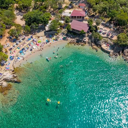 Vila New With Swimming Pool, Olive Grove And Sea View By Traveler Tourist Agency Krk Id 2201
